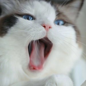 爱出发（超酷正太版）