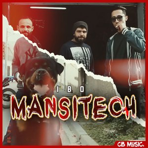 Mansitech