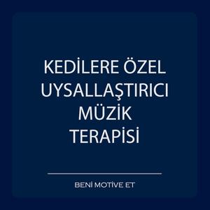 Kedilere Özel Uysallaştırıcı Müzik Terapisi