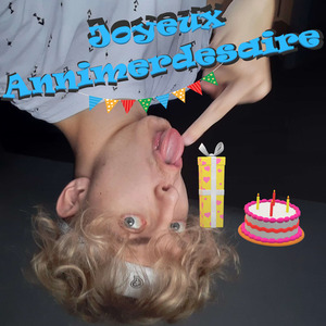 Joyeux Annimerdesaire