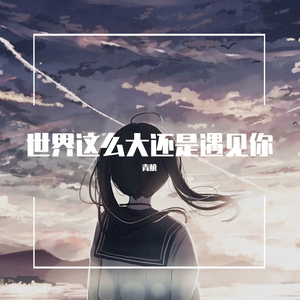 世界这么大还是遇见你