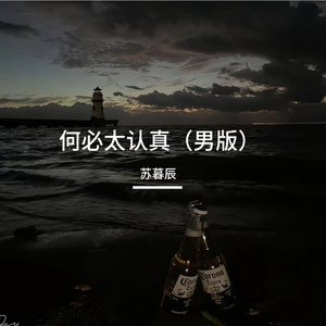 何必太认真（男版）