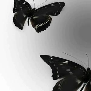 自省（Prod.白昼星BZX）