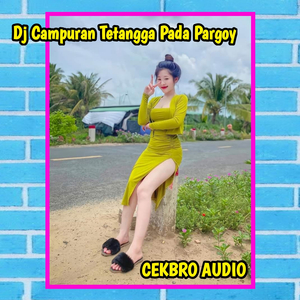 DJ Campuran Tetangga Pada Pargoy