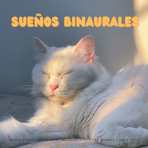 Ritmos Binaurales Calmantes Para Gatos