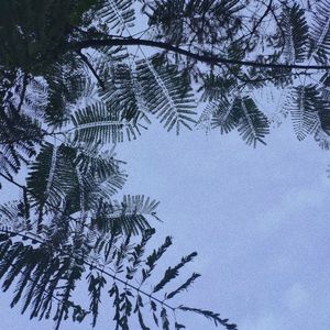 你是我的梦想未来