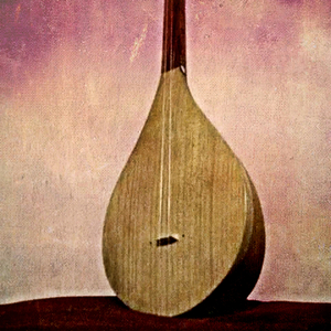 Firooz Kunduzi (Live)