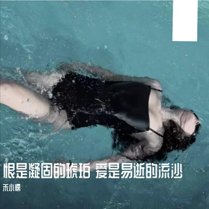 恨是凝固的琥珀 爱是易逝的流沙