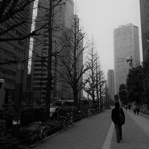 朝日射すゲレンデにて