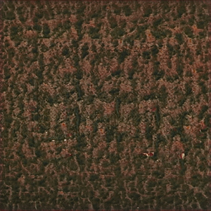 Feel Good with Your Surprise