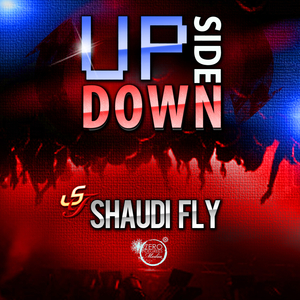 UPSIDE_DOWN_SHAUDI_FLY_CLEAN