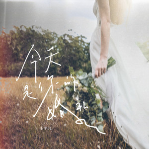 今天是你的婚礼