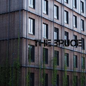the bruce