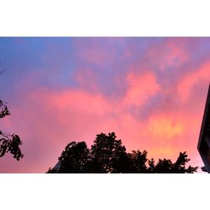 你是醉人的晚风，是落日弥漫的茜