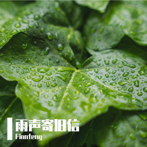 雨声寄旧信