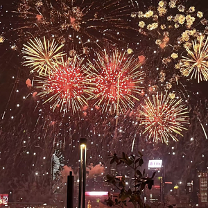 欢欢喜喜迎新年