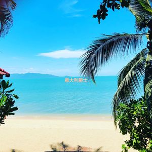 适合在家里工作陶醉的音乐