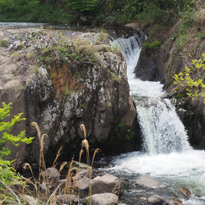 あやまらなくていいから