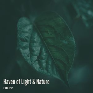Haven of Light & Nature