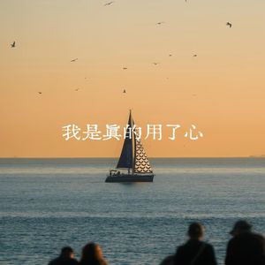 我是真的用了心