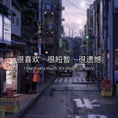 以为你是陪我一生的人