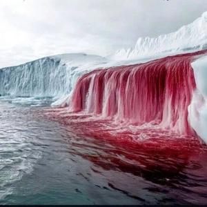 The Servants Kingdom