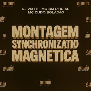 Montagem Synchronizatio Magnetica