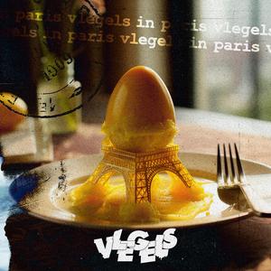 Vlegels in Paris