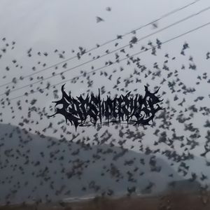 路边野餐（Prod.Odece）