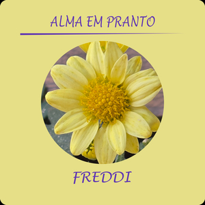 Alma Em Pranto