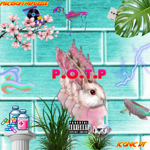 P.O.T.P