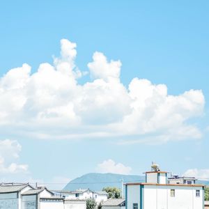 两只老虎~1
