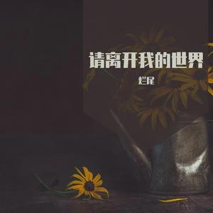 请离开我的世界