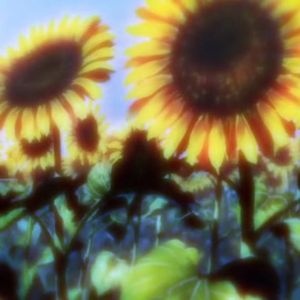 犬（Prod By ATTBEAT）