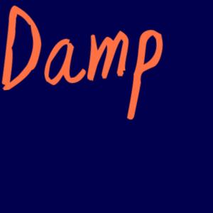 Damp