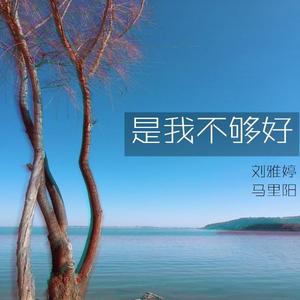 许哲佩-是我不够好（气球Remix）（马里阳Lil.Young / 刘雅婷 remix）