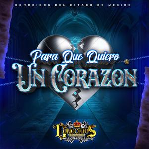 Para que quiero un corazón