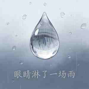 眼睛淋了一场雨