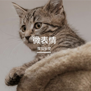 微表情