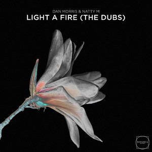 Light a Fire (Dub Mix)
