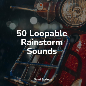 Rainy Woodland Ambience