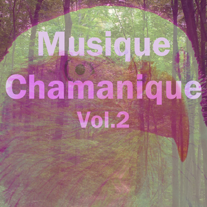 Musique chamanique, vol. 2