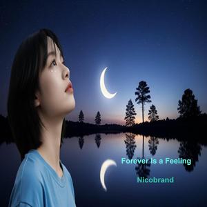 Light Bulbs Burning Out