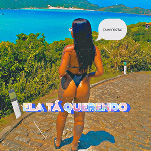 Ela Tá Querendo x Tamborzão