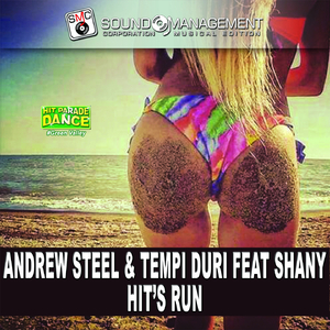 Hit's Run (Radio Edit)