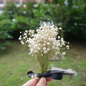 一个像夏天一个像秋天（伴奏）（翻自 戴茜（伊娃））