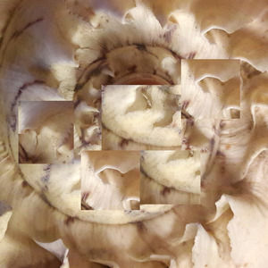 hon tycktes förlorad i tankar