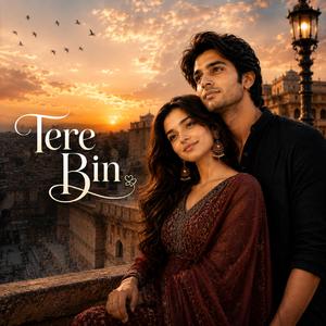 Tere Bin (Slowed + Reverb)