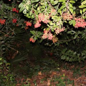 Been Here Before (feat. Crazybutfunctional)