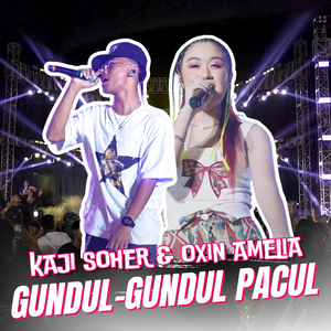 Gundul-Gundul Pacul (Remix)